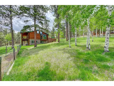 517 Mockingbird Trl, Bailey, CO 80421 photo 27