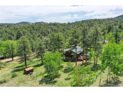 517 Mockingbird Trl, Bailey, CO 80421 photo 36