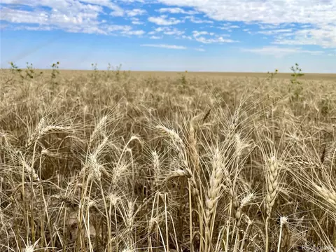 County Road 35, Genoa, CO 80818