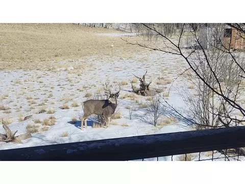 Other - 2387 Buffalo Ridge Rd, Como, CO 80432 photo 15 of 24