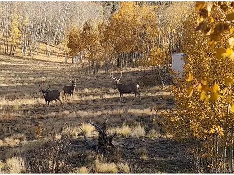 Other - 2387 Buffalo Ridge Rd, Como, CO 80432 photo 14 of 24