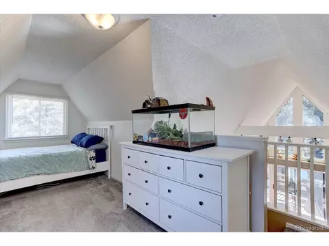 33350 Beverly Rd, Pine, CO 80470 photo 12
