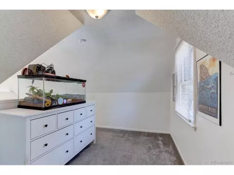33350 Beverly Rd, Pine, CO 80470 photo 13