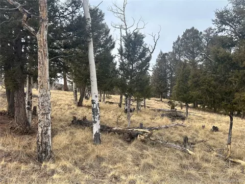 1421 Pitchfork Rd, Hartsel, CO 80449
