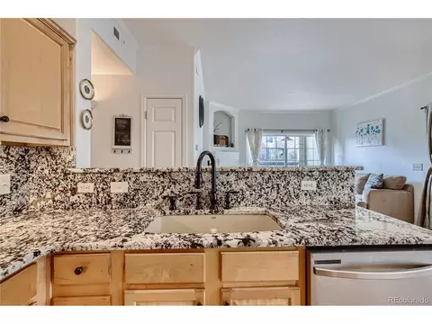10030 E Carolina Dr #102, Denver, CO 80247 photo 7