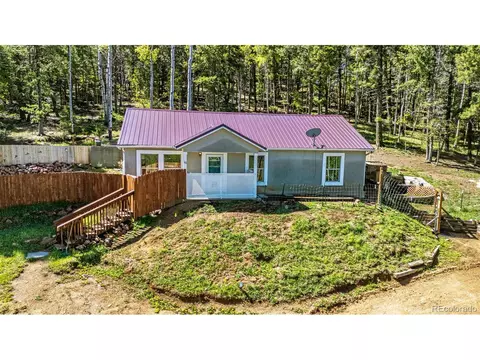 86 Will Stutley Dr, Divide, CO 80814