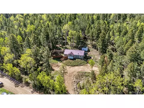86 Will Stutley Dr, Divide, CO 80814 photo 22