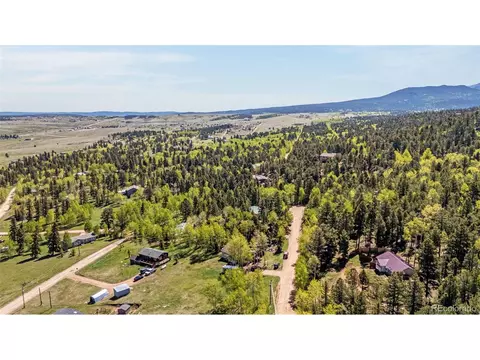 86 Will Stutley Dr, Divide, CO 80814 photo 24
