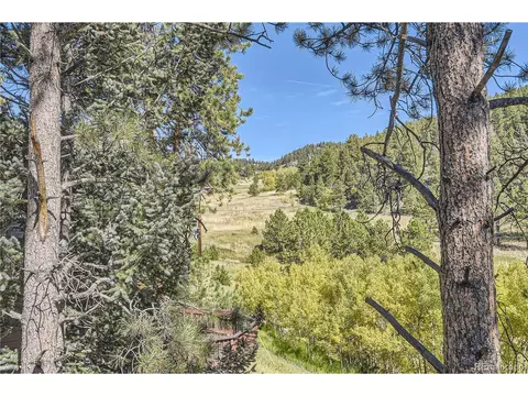 682 Wisp Creek Dr, Bailey, CO 80421 photo 33
