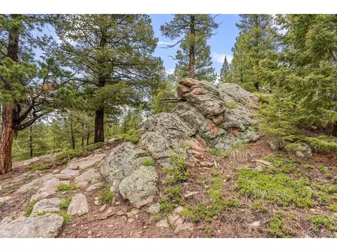 10348 Conifer Dr, Conifer, CO 80433 photo 11