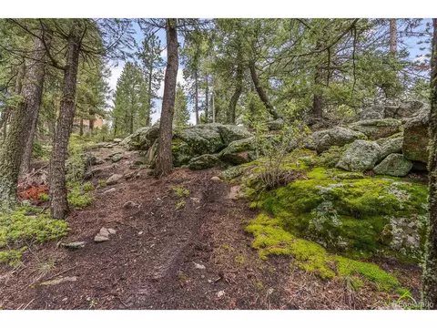 10348 Conifer Dr, Conifer, CO 80433 photo 9