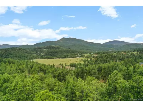 6561 Valley Cir, Morrison, CO 80465 photo 37