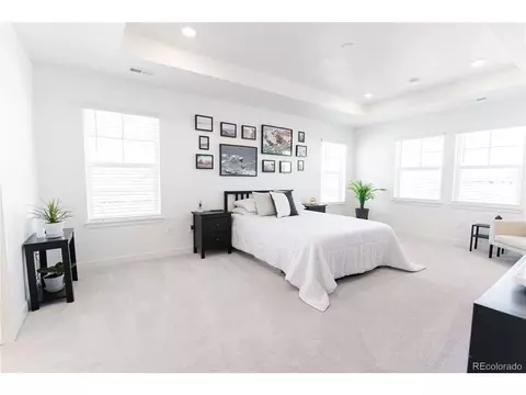 17688 Eclipse St, Broomfield, CO 80023 photo 16