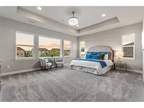 19632 W 94th Pl, Arvada, CO 80007 photo 18