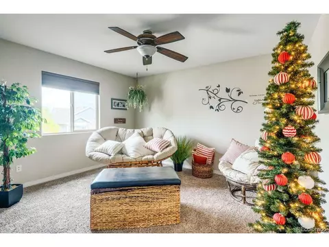 3625 Rialto Ave, Evans, CO 80620 photo 20
