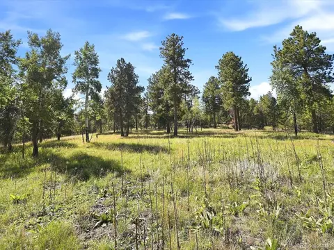 0 Molly Dr, Conifer, CO 80433 photo 11