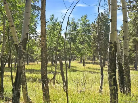0 Molly Dr, Conifer, CO 80433 photo 2