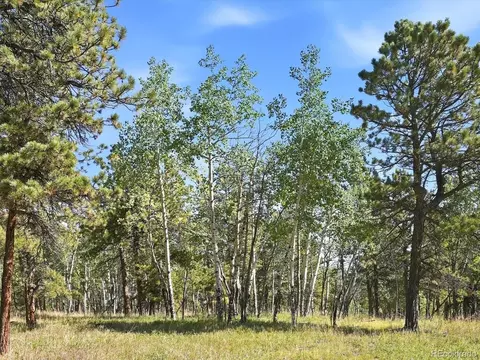 0 Molly Dr, Conifer, CO 80433 photo 14