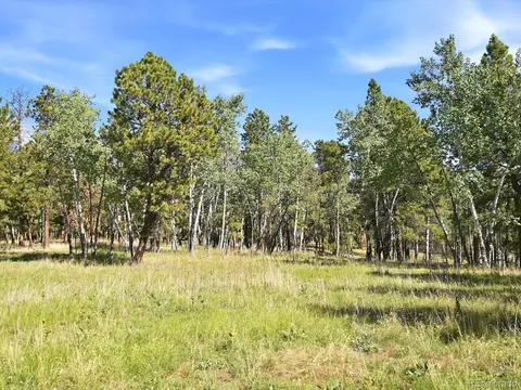 0 Molly Dr, Conifer, CO 80433 photo 13