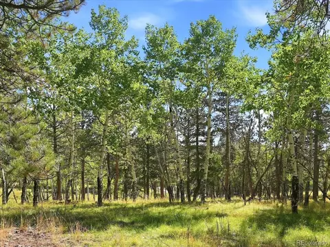 0 Molly Dr, Conifer, CO 80433 photo 15