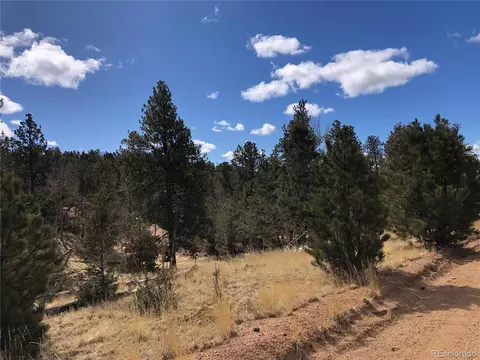 294 Southgate Rd, Florissant, CO 80816