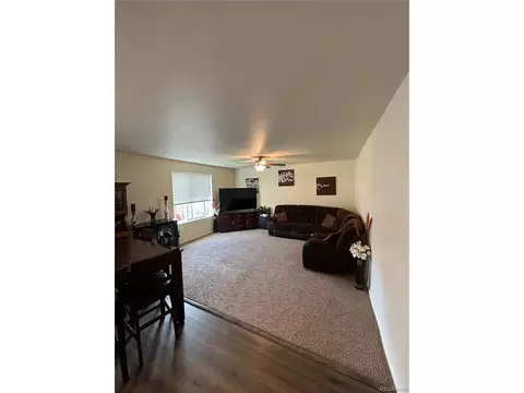 47314 Iris Ave, Bennett, CO 80102 photo 3
