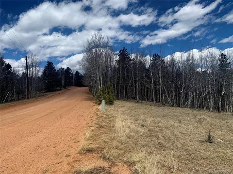 1188 May Queen Dr, Cripple Creek, CO 80813