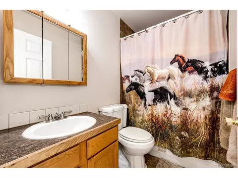 46600 E 112th Ave, Bennett, CO 80102 photo 21