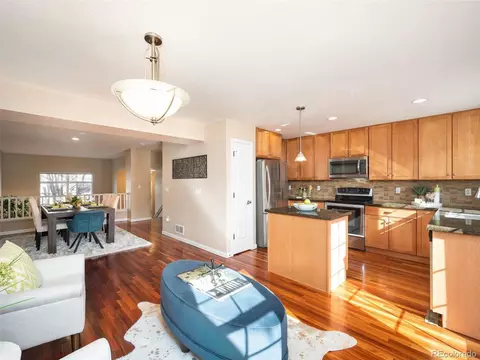 8927 E 29th Pl, Denver, CO 80238 photo 14