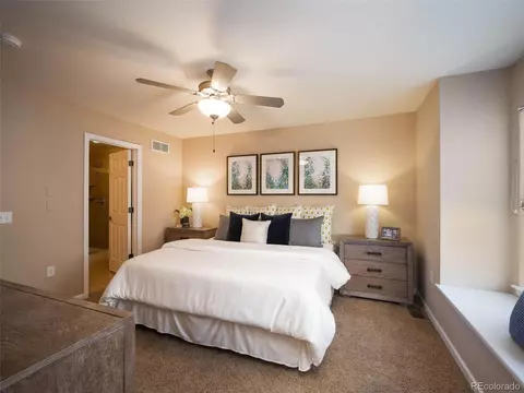 8927 E 29th Pl, Denver, CO 80238 photo 22