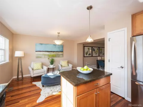 8927 E 29th Pl, Denver, CO 80238 photo 13