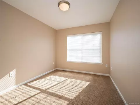8927 E 29th Pl, Denver, CO 80238 photo 26
