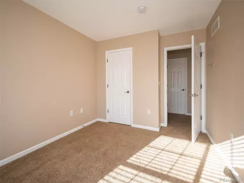 8927 E 29th Pl, Denver, CO 80238 photo 30