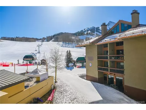 500 Gothic Rd #340, Mount Crested Butte, CO 81225 photo 18