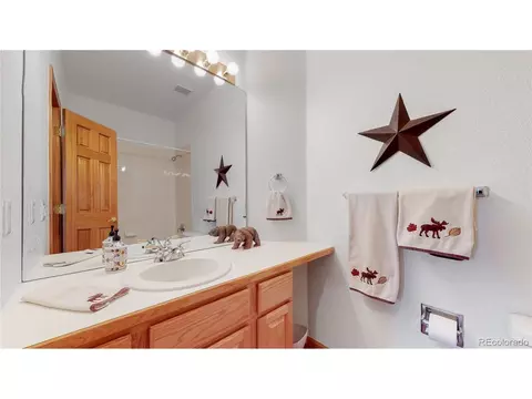 9266 Bauer Ct, Lone Tree, CO 80124 photo 22