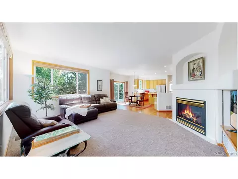 9266 Bauer Ct, Lone Tree, CO 80124 photo 9
