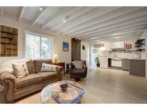 32546 Sullivan Dr, Conifer, CO 80433 photo 21