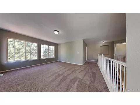 20045 Mitchell Pl, Denver, CO 80249 photo 8