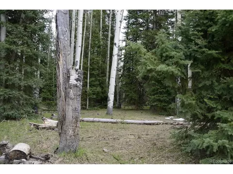 1401 Hazel Lake Dr, Cimarron, CO 81220
