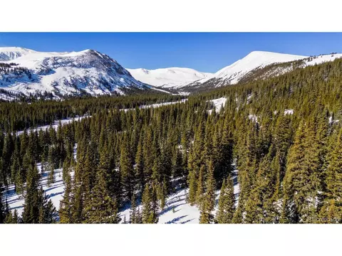 5769 Timberline Ter, Fairplay, CO 80440