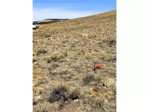 Sioux Rd, Hartsel, CO 80449 photo 7