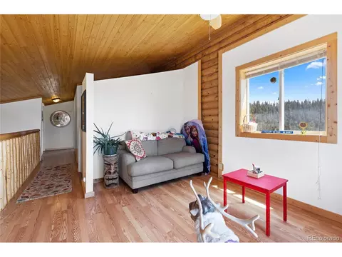 238 Chippewa Ln, Como, CO 80432 photo 16