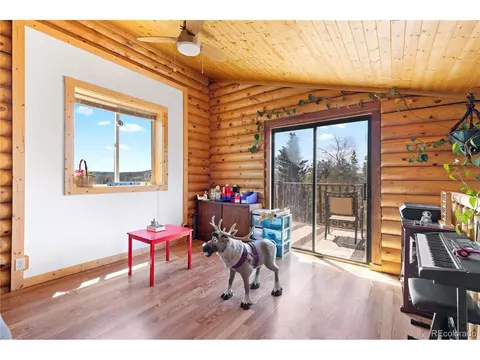 238 Chippewa Ln, Como, CO 80432 photo 18