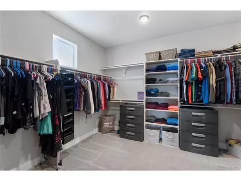 6022 Chantry Dr, Windsor, CO 80550 photo 20