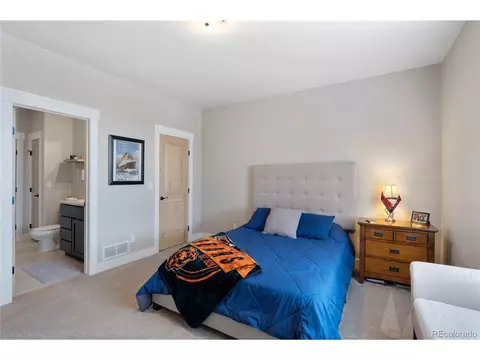 6022 Chantry Dr, Windsor, CO 80550 photo 27