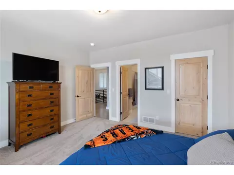 6022 Chantry Dr, Windsor, CO 80550 photo 28