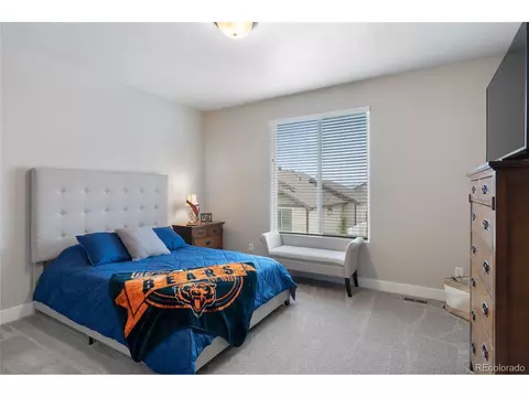 6022 Chantry Dr, Windsor, CO 80550 photo 26