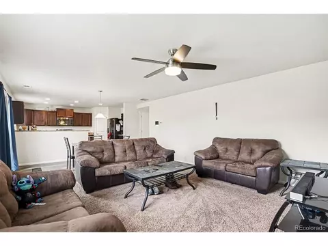47373 Lily Ave, Bennett, CO 80102 photo 5