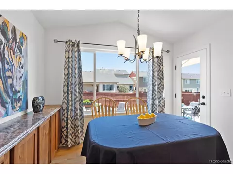 2131 Crop Row Dr, Windsor, CO 80550 photo 10