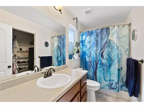 2131 Crop Row Dr, Windsor, CO 80550 photo 13